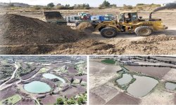 الجمعيات التعاونية .. شواهد النجاح والمسارات الاستراتيجية في تحقيق النهوض التنموي الشامل!!