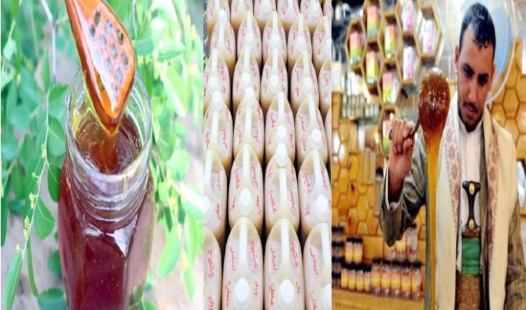 العسل اليمني .. توجّه حكومي لتعظيم القيمة المضافة للمنتج الوطني وتحويله إلى ركيزة أساسية للسيادة الدوائية