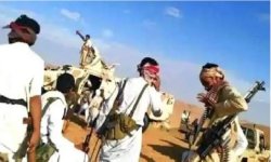 تجدد الاشتباكات القبلية في مديرية حبان بشبوة