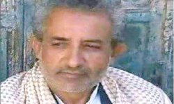 كلفتة الحوار سبب الدمار