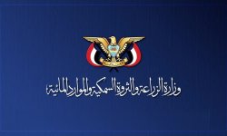 وزارة الزراعة تُدين استهداف الثروة الحيوانية والمزارع في صعدة