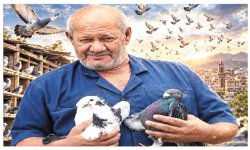مشير السقاف يحكي قصة 40 عاماً من الوفاء والعشق لأول ساعي بريد في التاريخ
